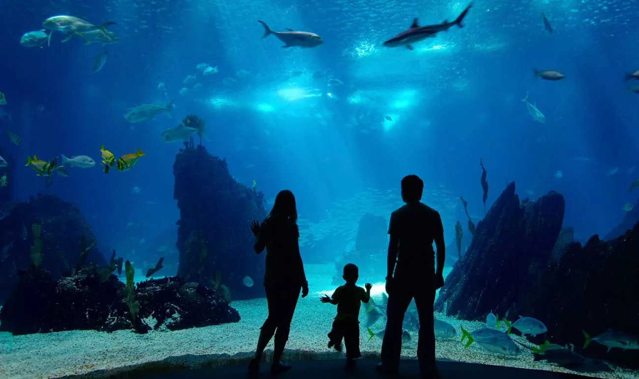 New England Aquarium em Boston