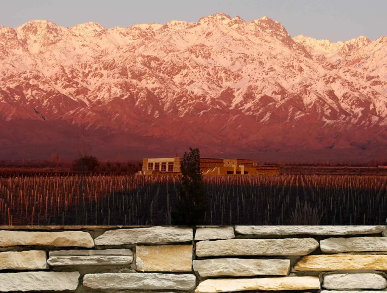 Casamento na Bodega Séptima 