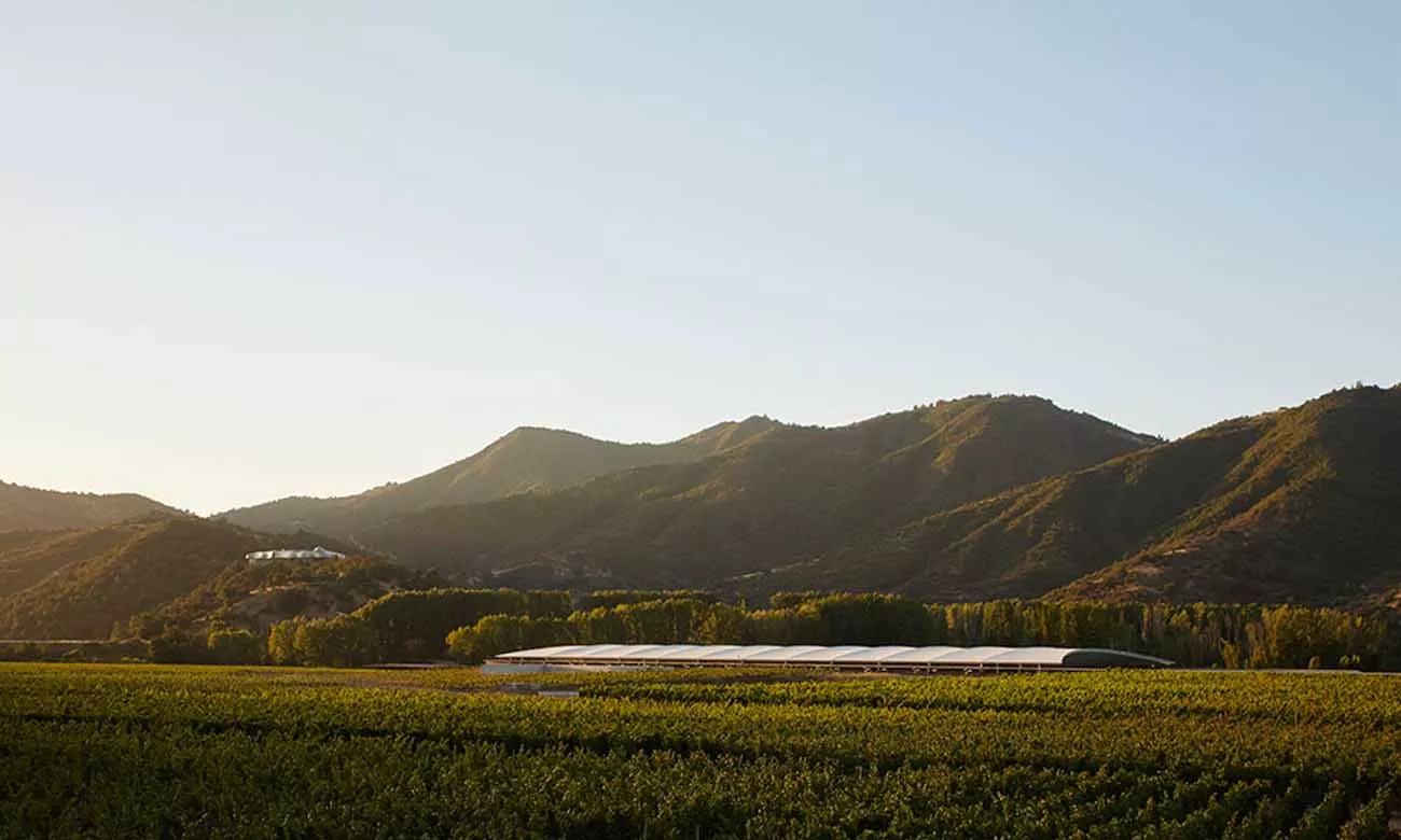 Casamento no Vik Chile Hotel