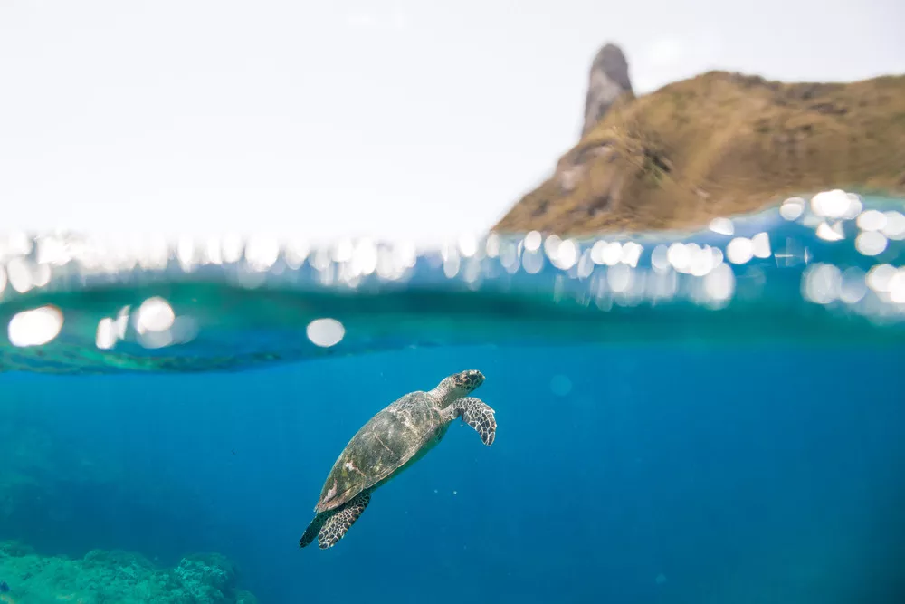 casamento-fernando-de-noronha