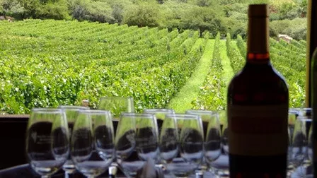 casamento-vinícola-argentina