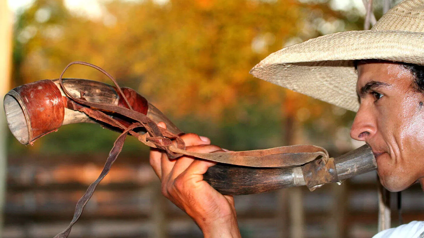 Pantanal Sul - Refúgio Ecológico Caiman