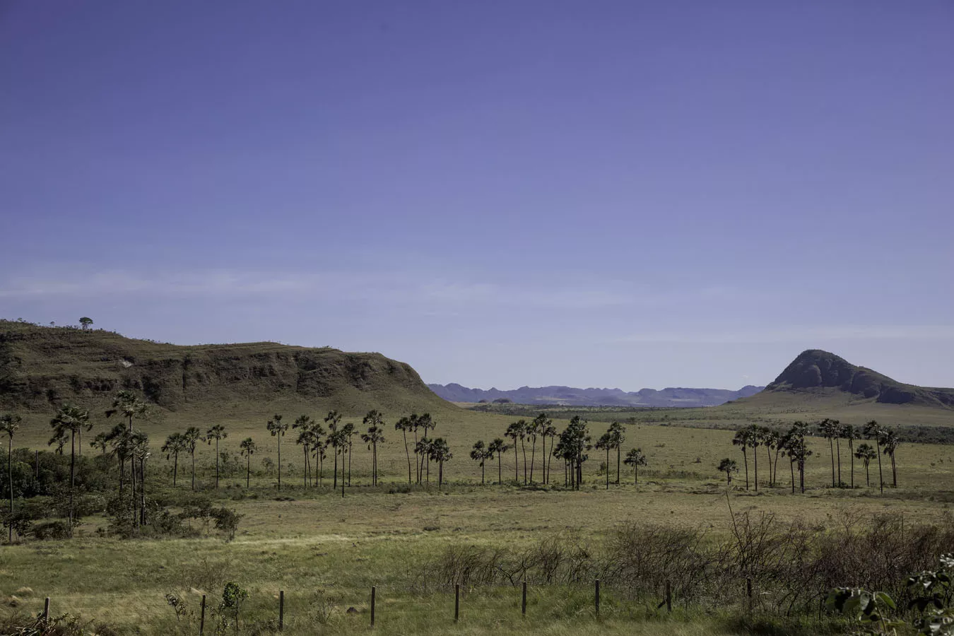 Chapada do Veadeiros