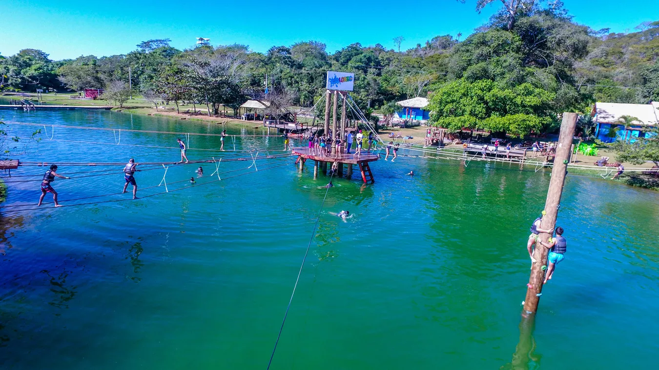 Bonito voando direto
