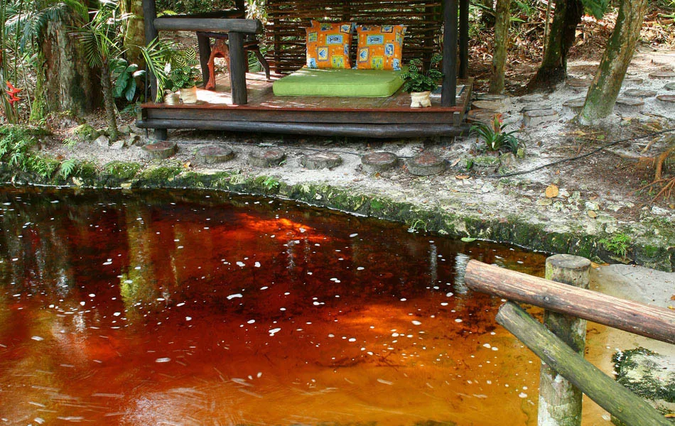 Amazon Ecopark Jungle Lodge 