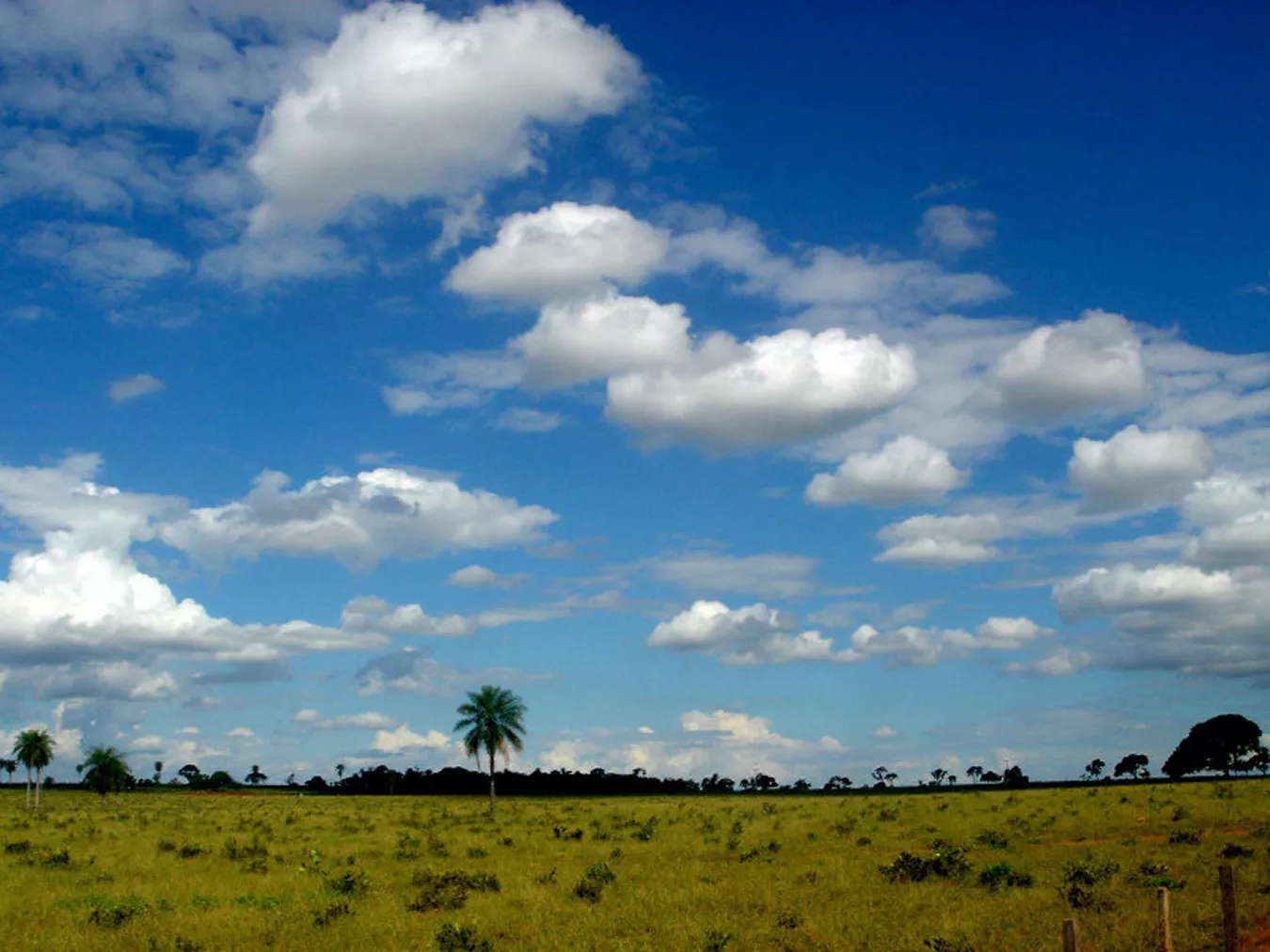 Pousada Refúgio da Ilha