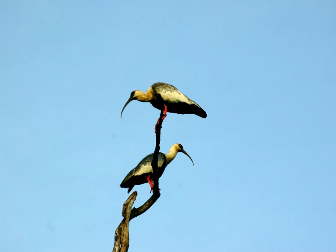 Pousada Refúgio da Ilha