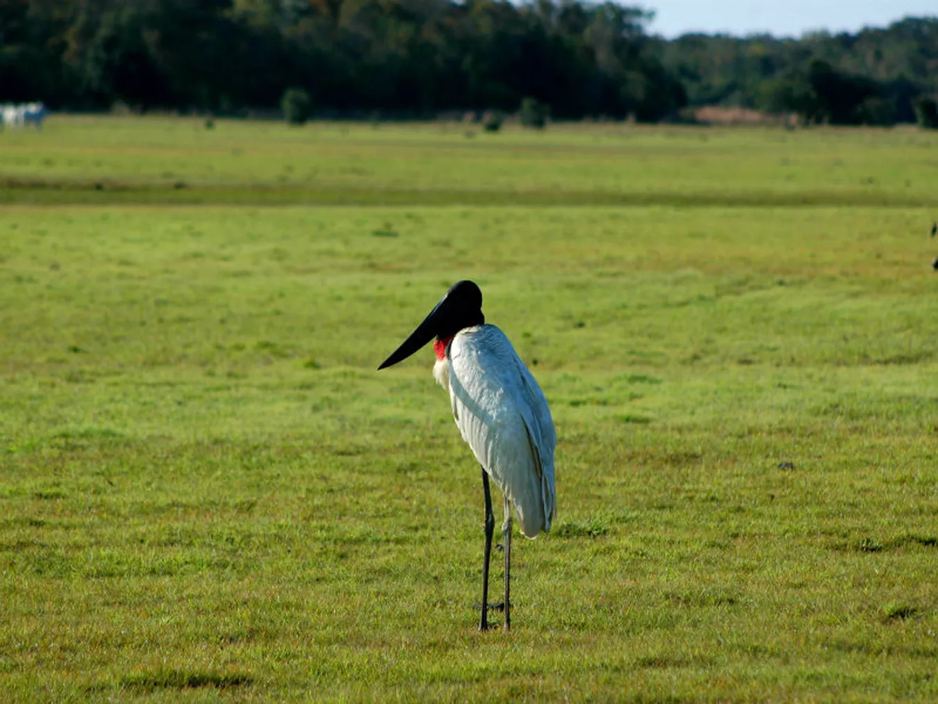 Pousada Refúgio da Ilha