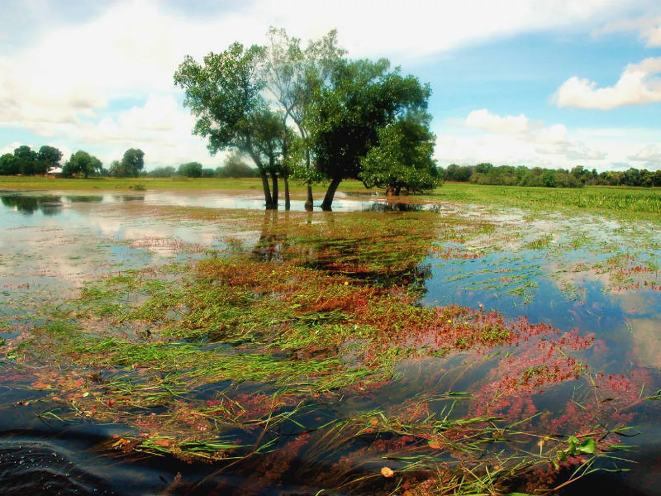 Pousada Refúgio da Ilha