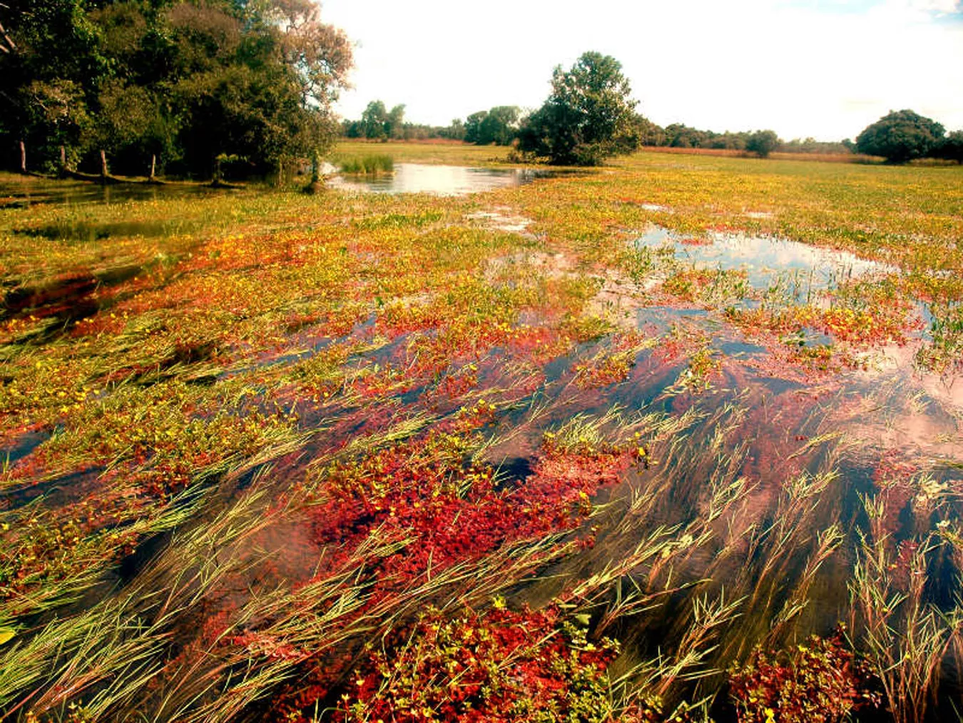 Pousada Refúgio da Ilha