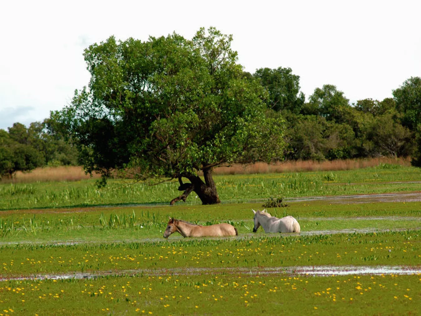 Pousada Refúgio da Ilha