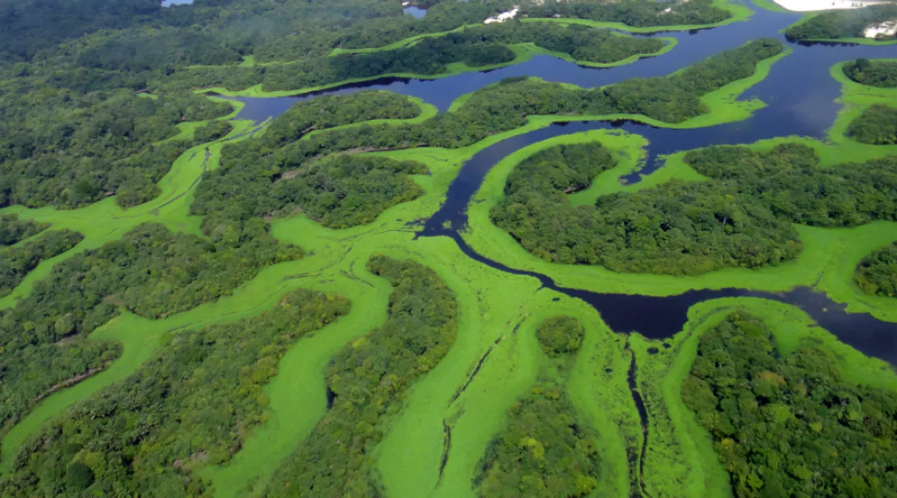 Anavilhanas Jungle Lodge 