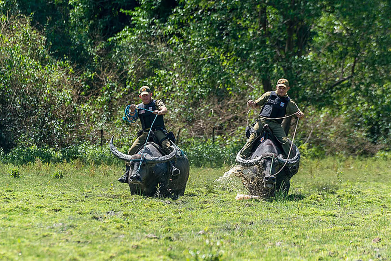 Belém, Ilha de Marajó e Alter do Chão 