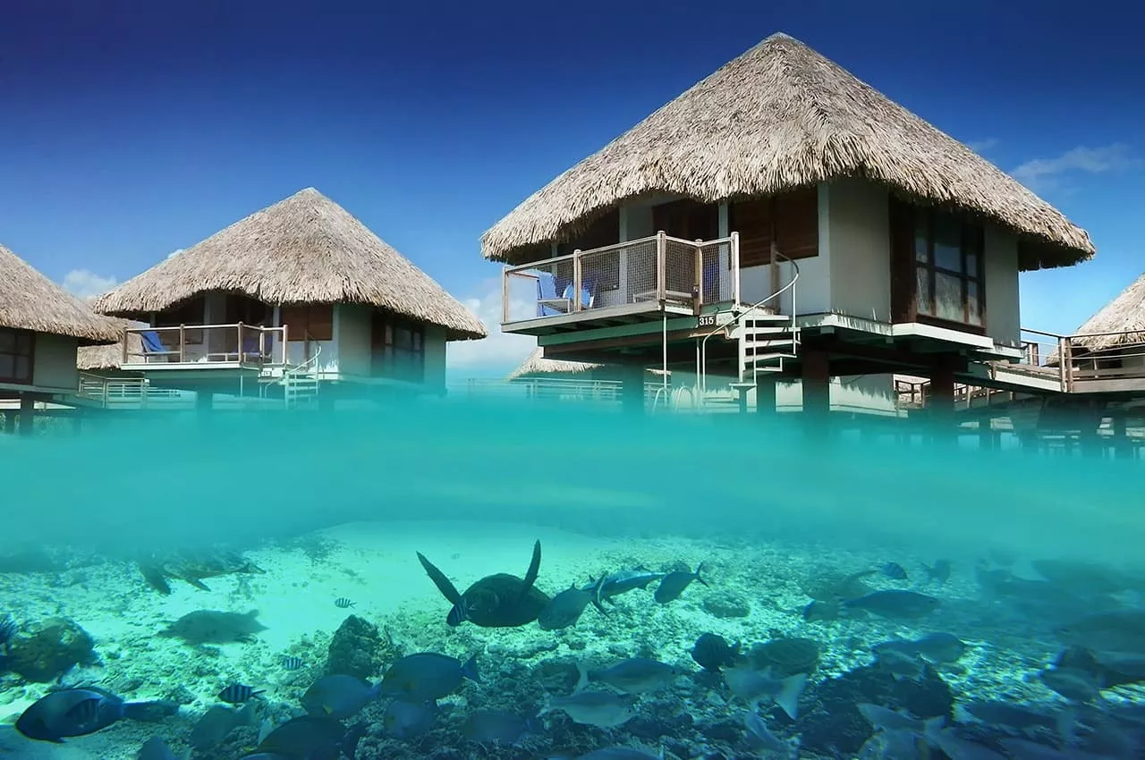 Manava Moorea e Le Meridien Bora Bora