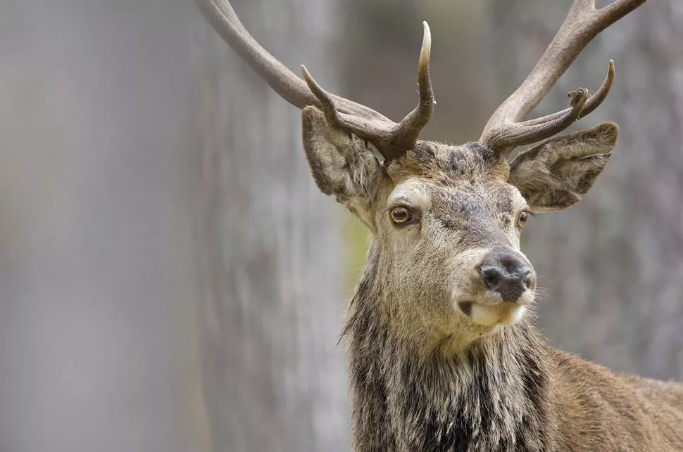 Silversea Vancouver a Seward 