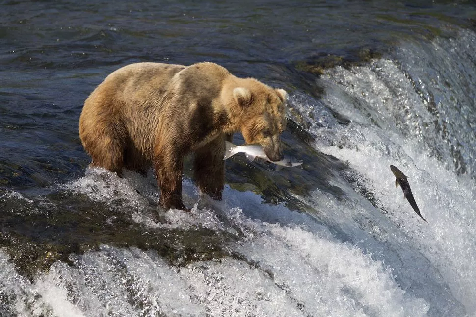 Silversea Vancouver a Seward 
