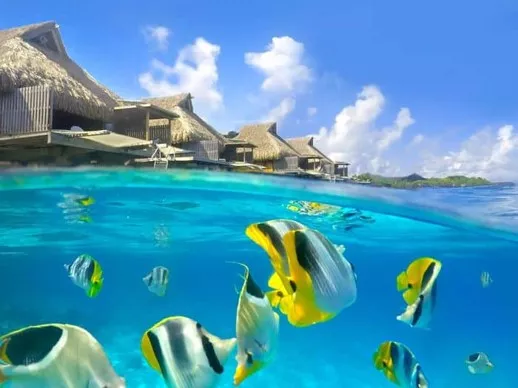 Elopement Wedding no Conrad Bora Bora Nui