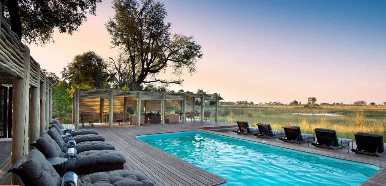 Botswana um Safári com Estilo  