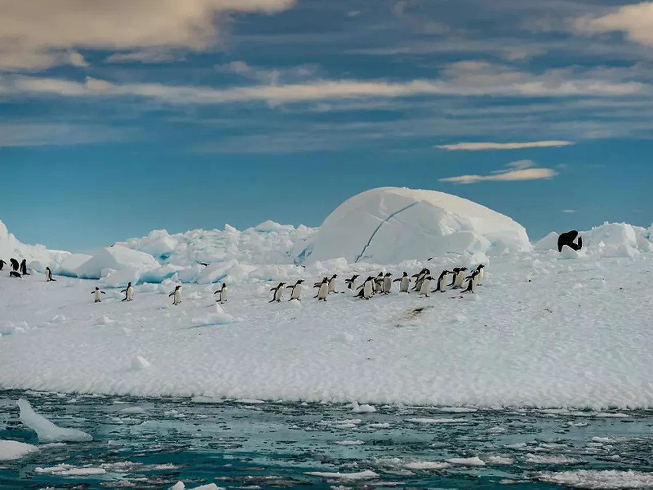 Antárctica Express Air Cruise