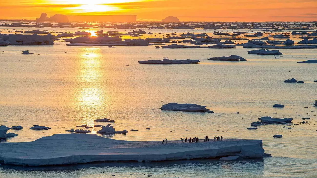 Antárctica Express Air Cruise