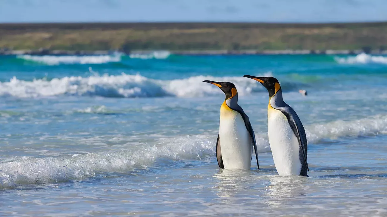 Antárctica Express Air Cruise