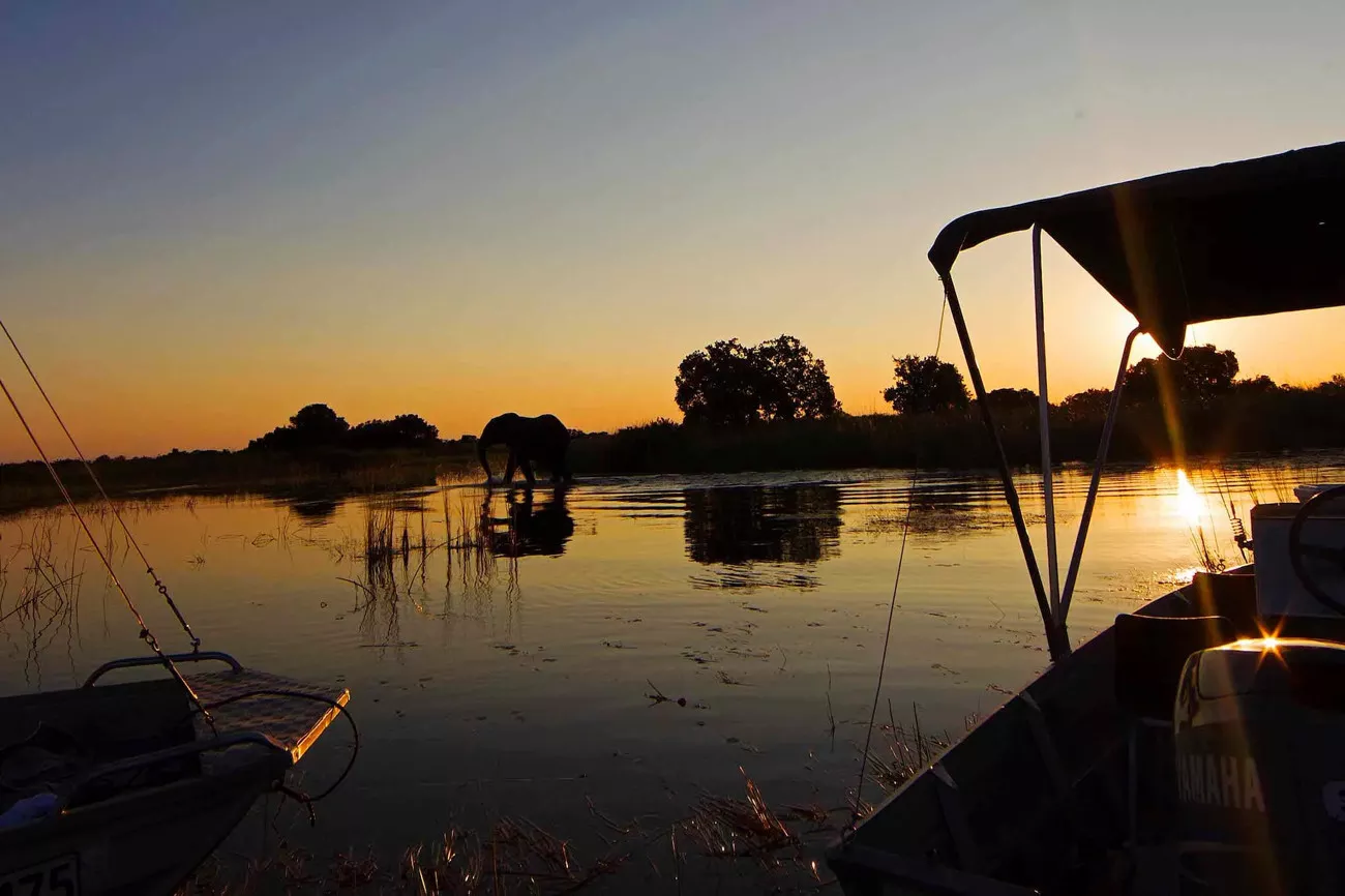 Botswana com Delta do Okavango e Reserva Moremi