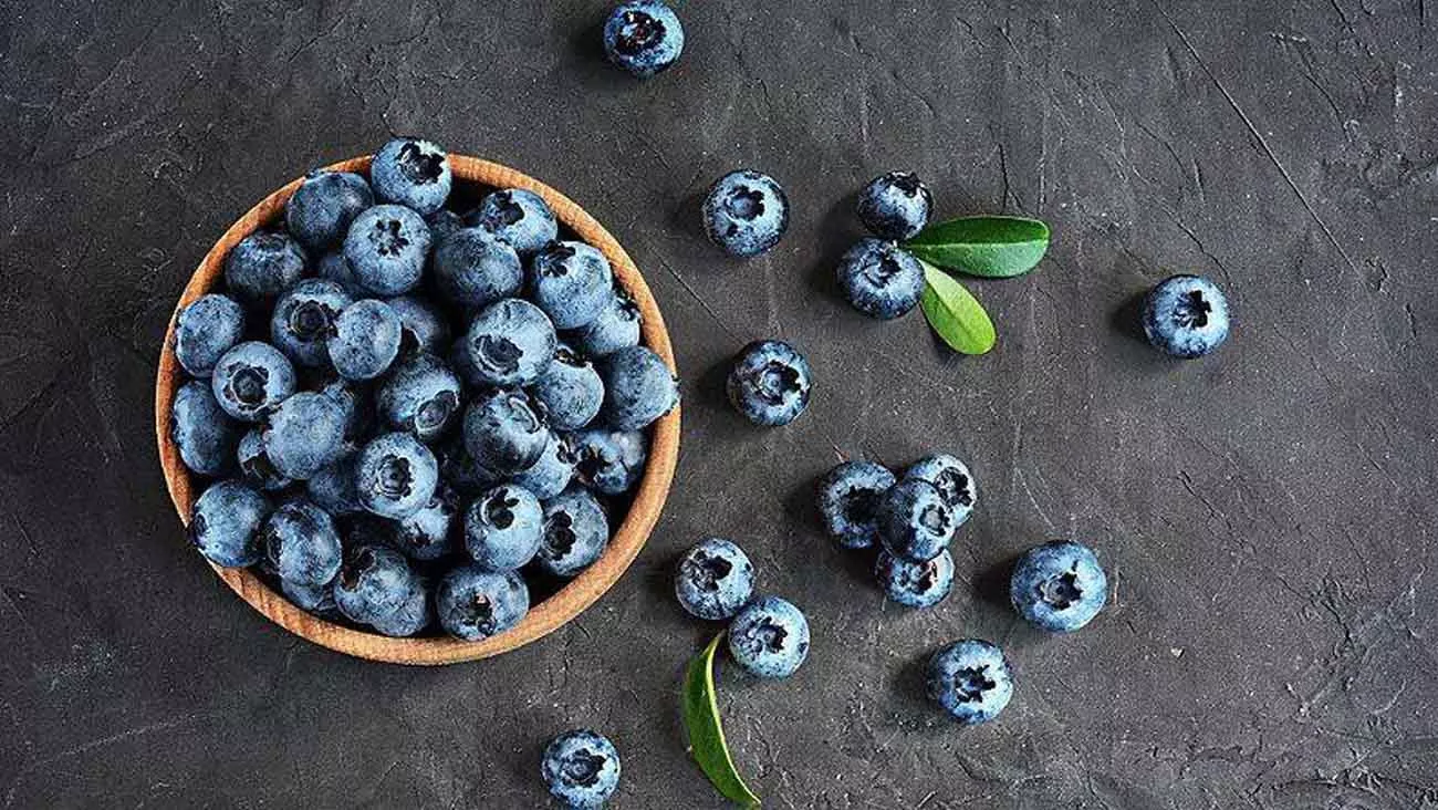 Canadense e do Alasca