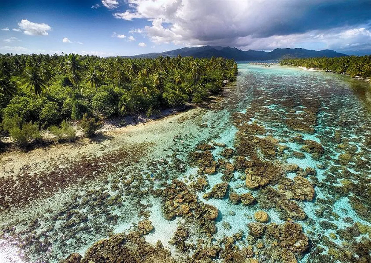 O Tahiti - Polinésia Francesa