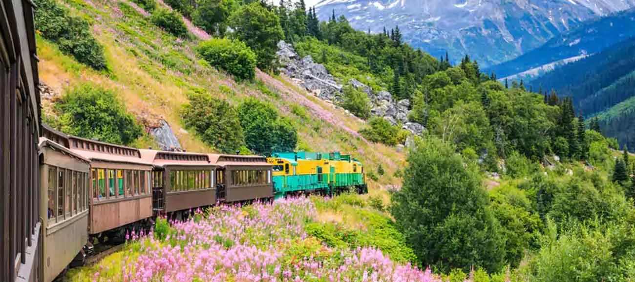 Pacotes para Cruzeiro Norowegian Alaska