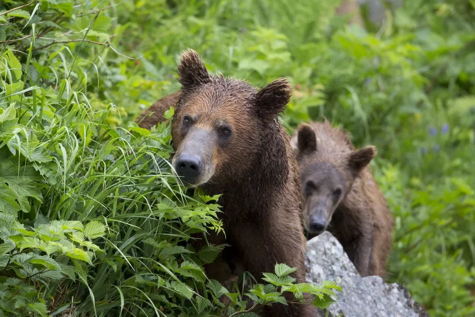 Silversea Vancouver a Seward 