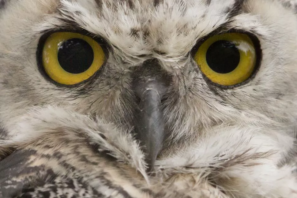 Silversea Vancouver a Seward 