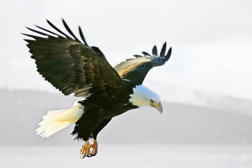 Silversea Vancouver a Seward 