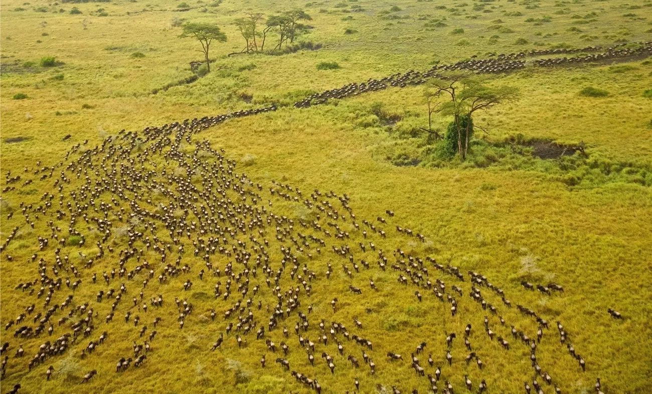 Safári Singita Lodges & Reserves 