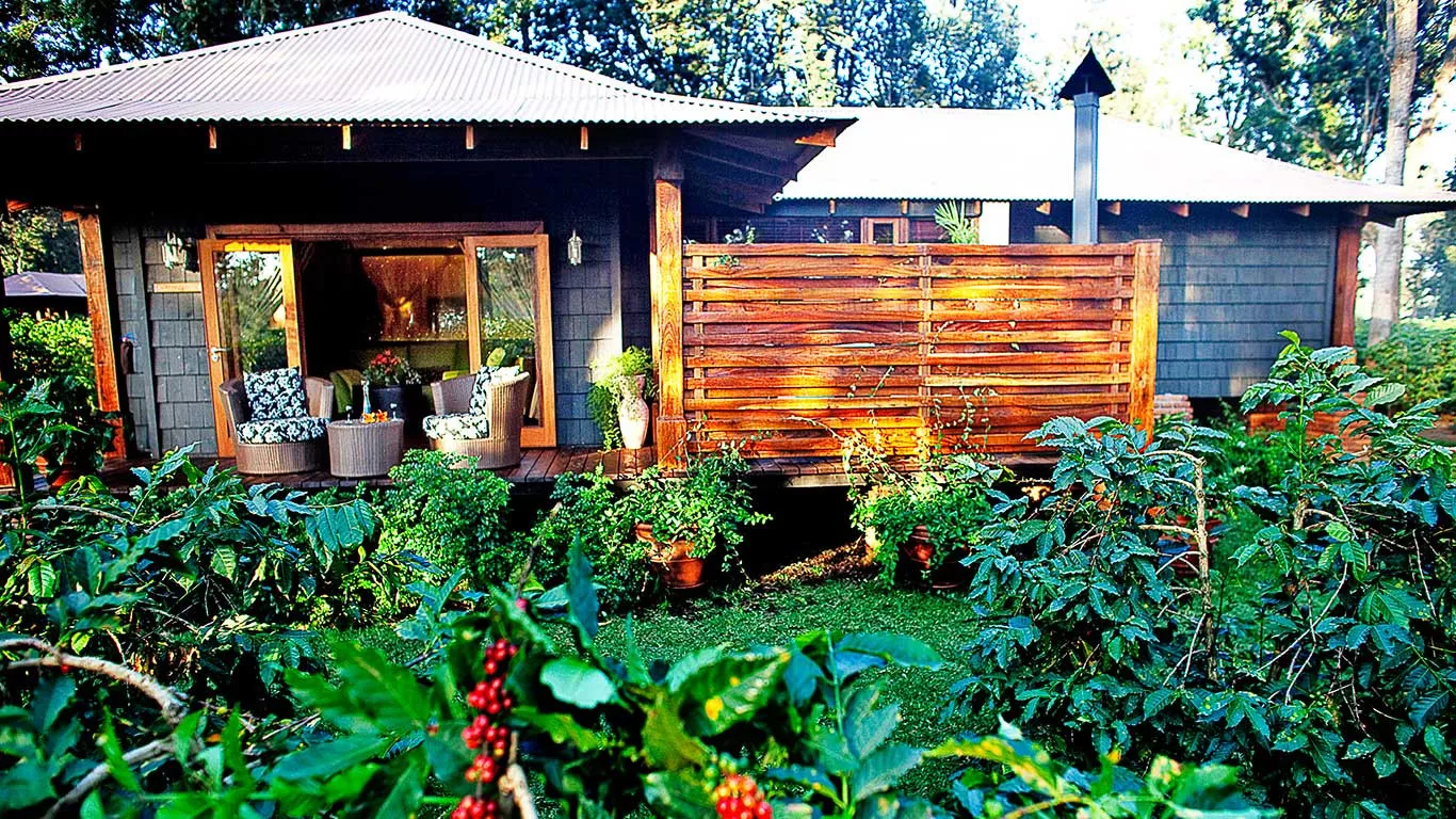 Tanzania e Kenya em Alto Estilo by andBeyond