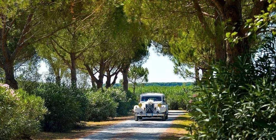 Destination Wedding no Villa Toscana