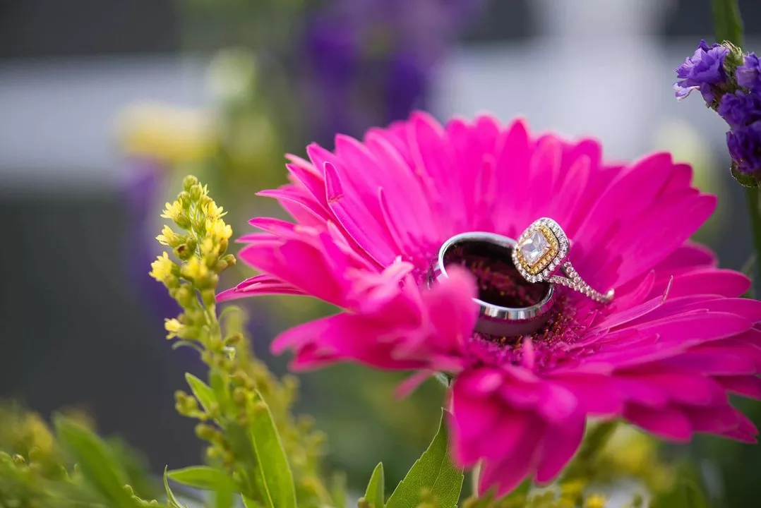 Casamento Astra Suítes Santorini