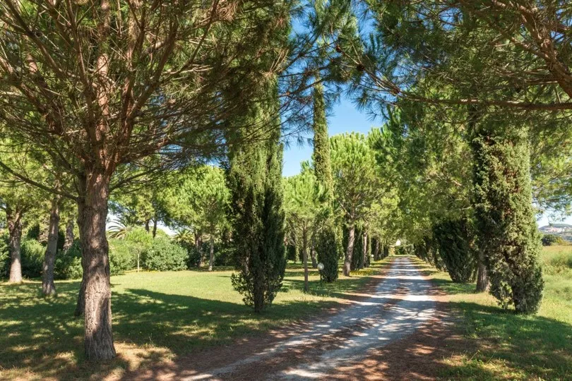 Destination Wedding no Villa Toscana