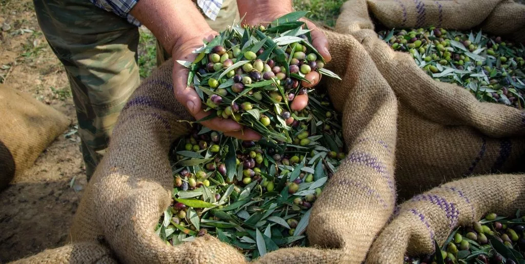 Destination Wedding no Villa Toscana