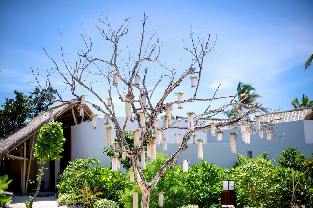 Elopement Wedding no Emerald Maldives Resort & Spa