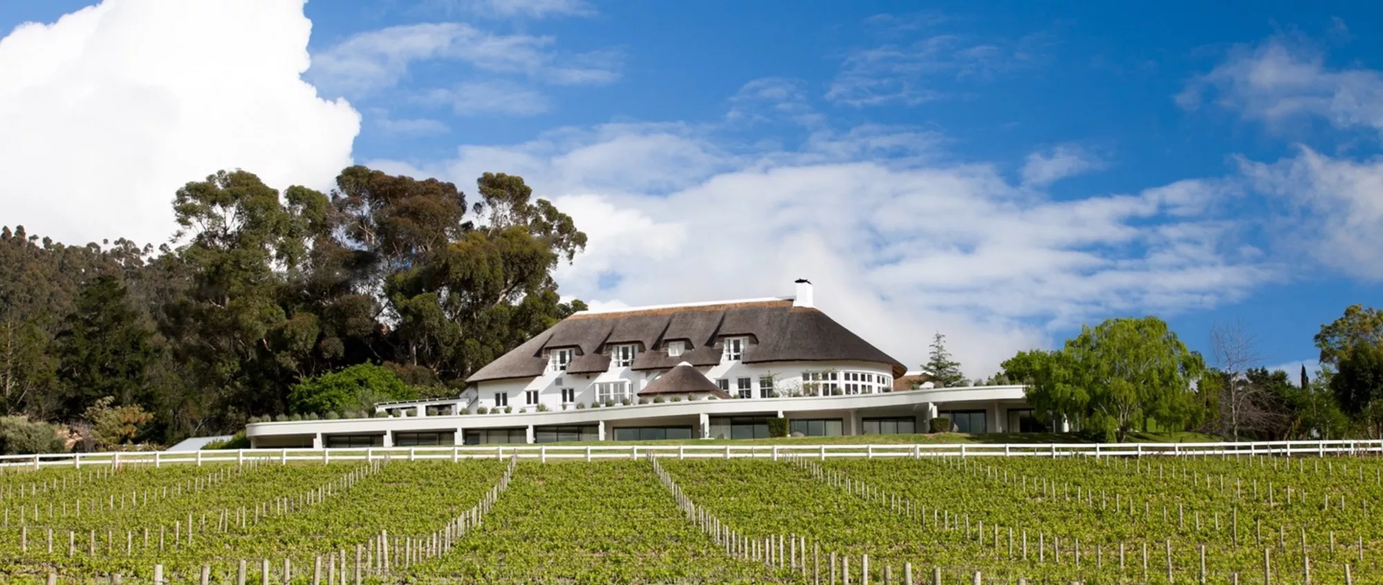 Casamento no Hotel e Vinícola Mont Rochelle