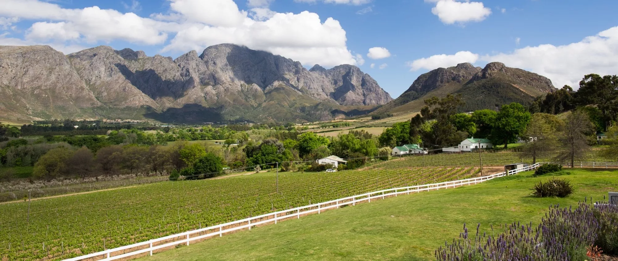 Casamento no Hotel e Vinícola Mont Rochelle