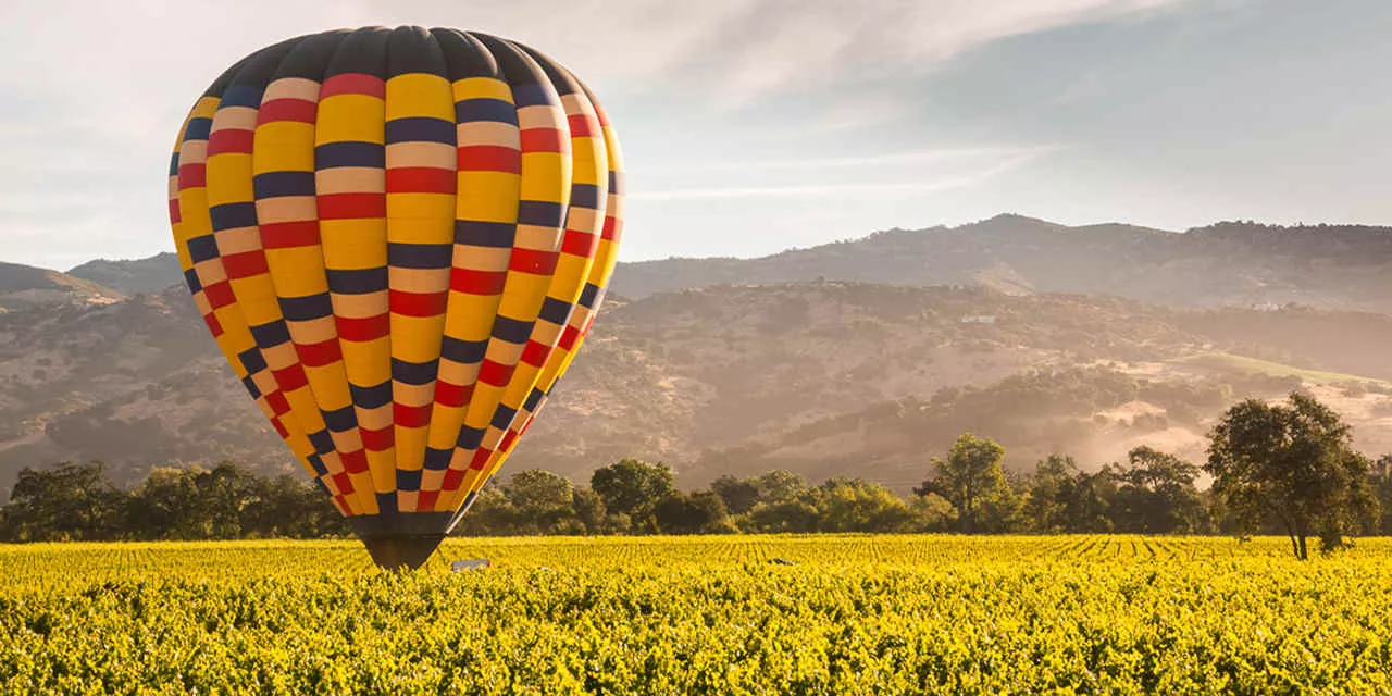 California na Rota dos vinhos 