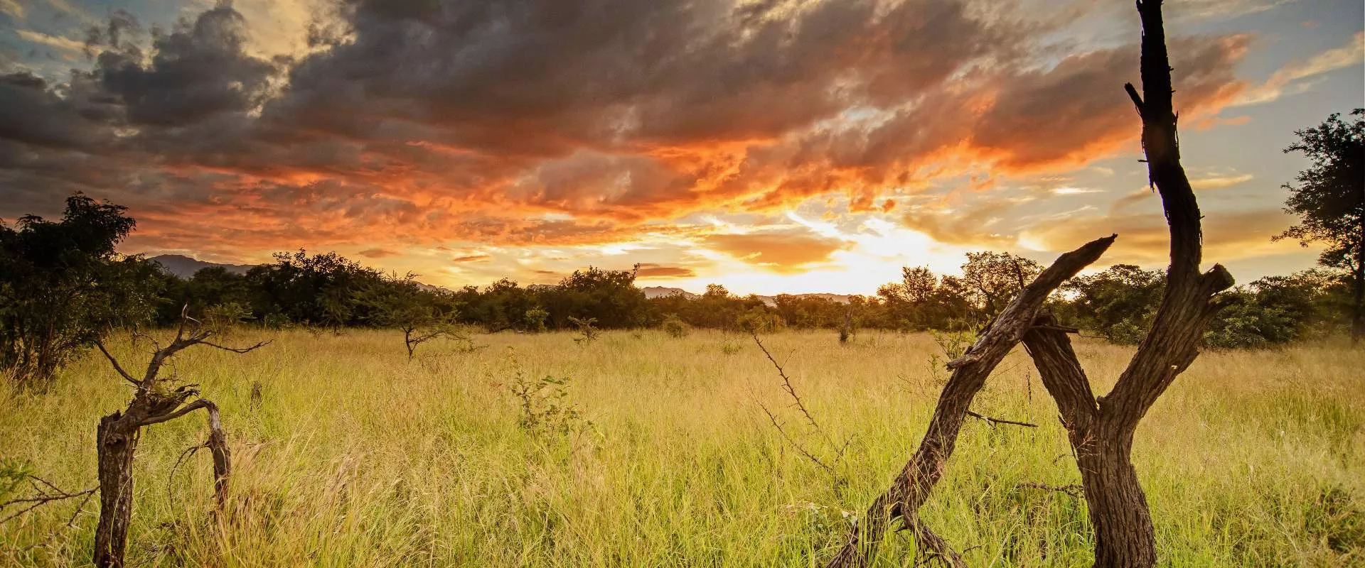 África do Sul com Park Kruger