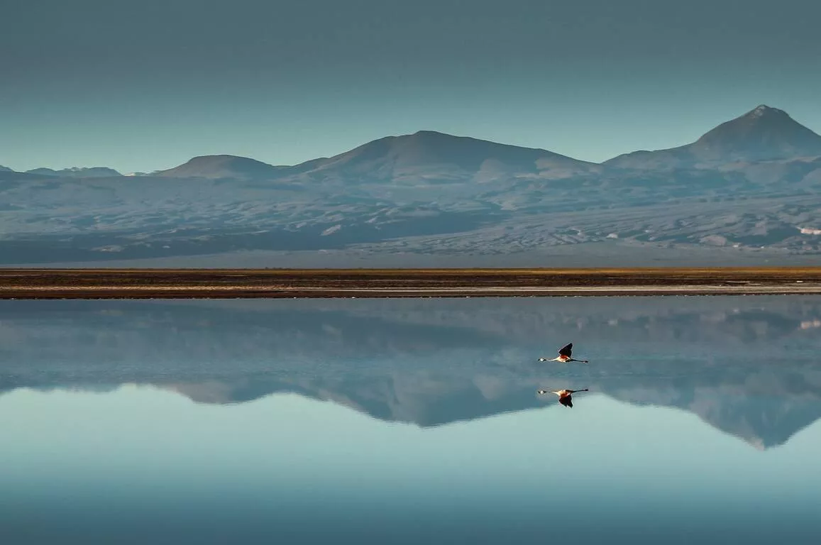 Awasi Atacama Relais & Chateuax