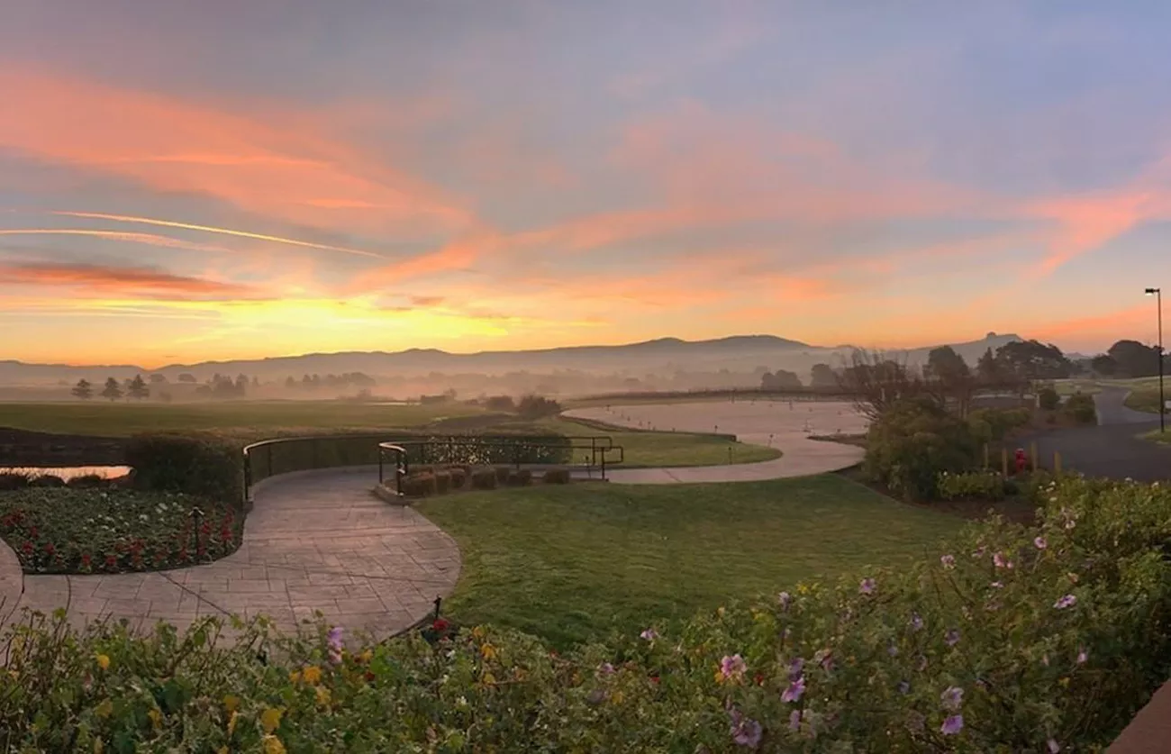 California na Rota dos vinhos 