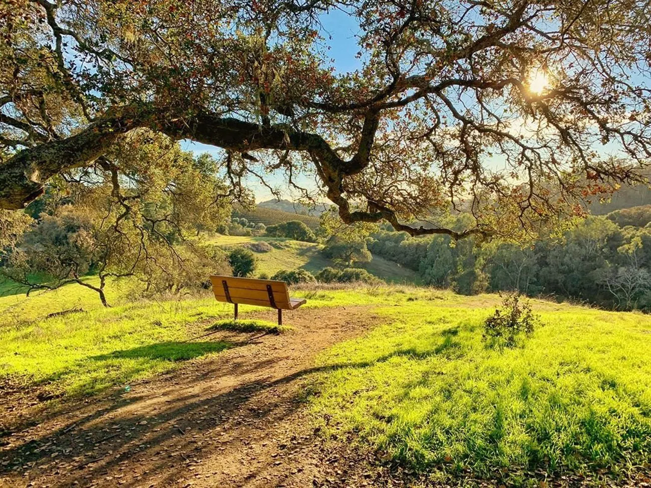 California na Rota dos vinhos 