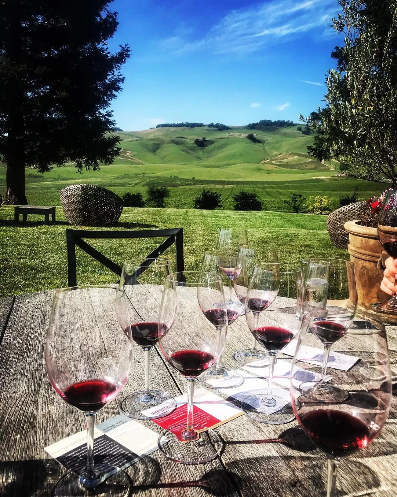 California na Rota dos vinhos 