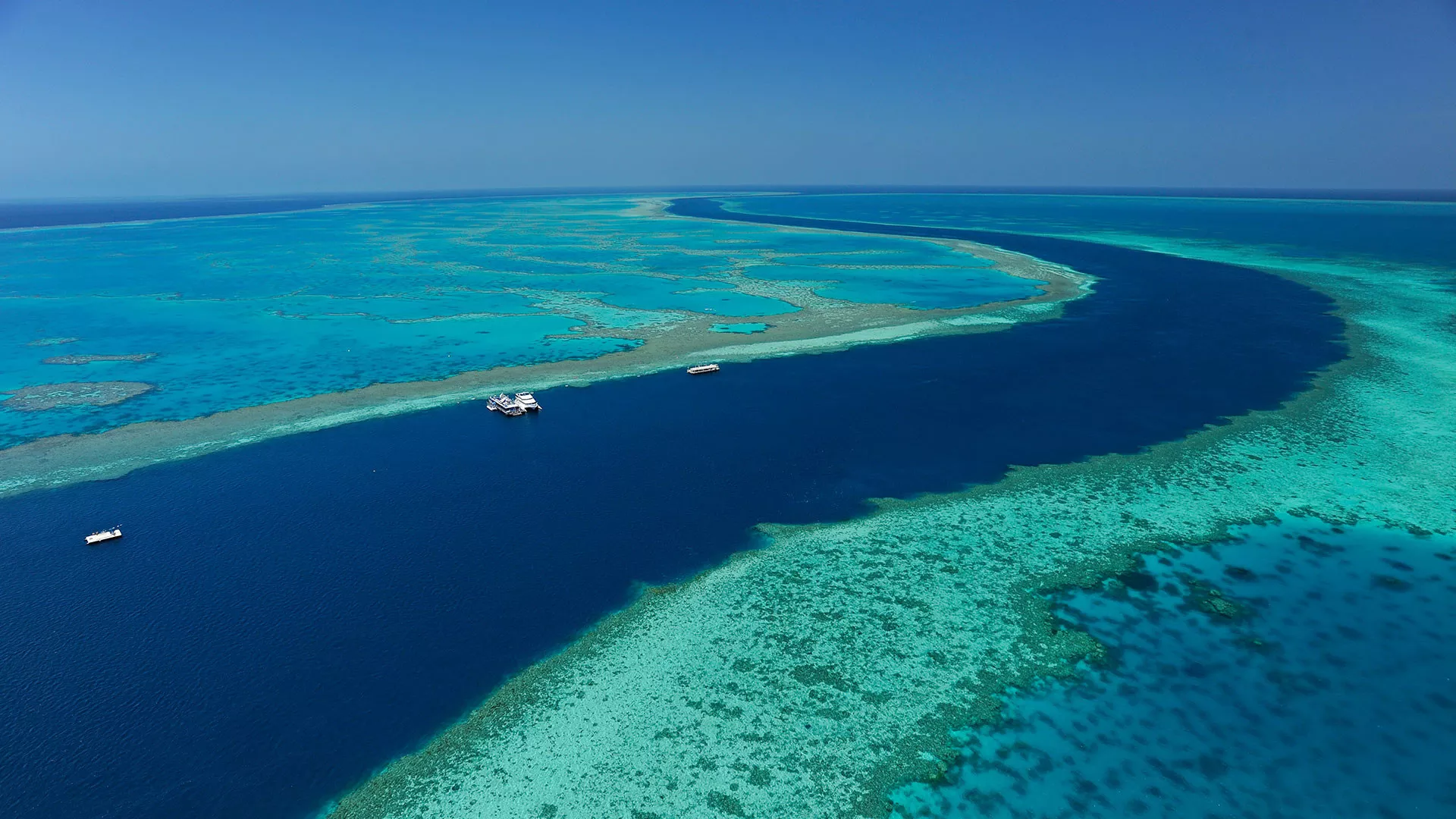 Nova Zelândia e Austrália