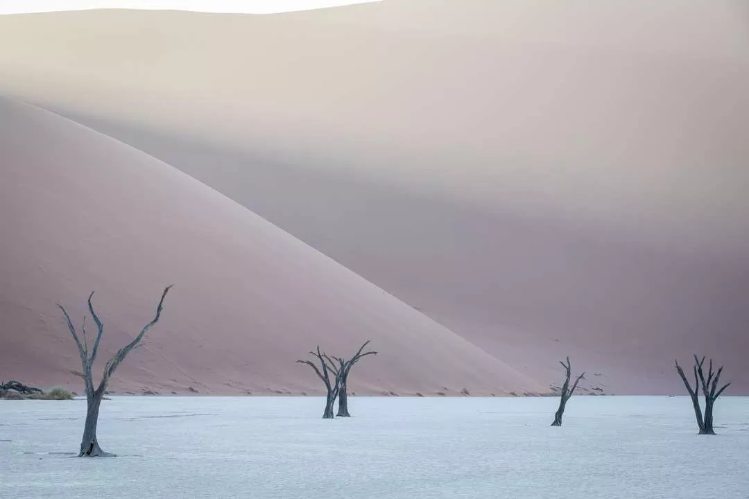 Safári, Dunas e Deserto