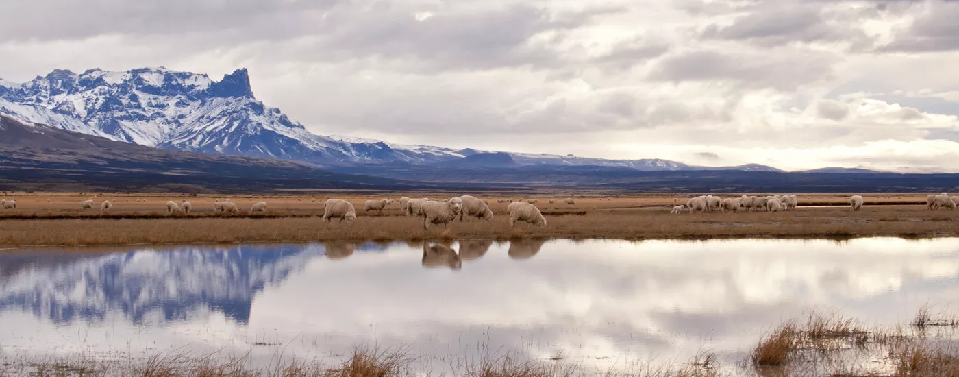 Tierra Patagônia 